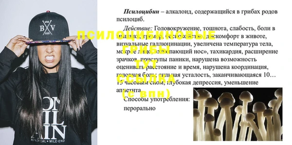 PSILOCYBIN Абдулино